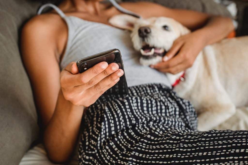 Aplicativo para falar com cachorro